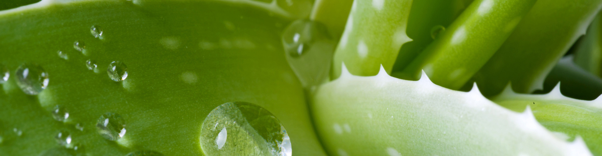 Links Naturheilpraxis Best-Vomberg