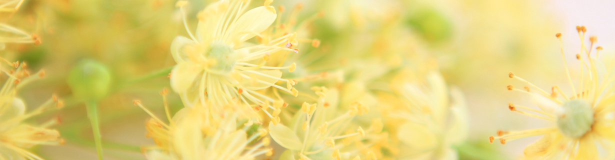 Öffnungszeiten Naturheilpraxis Best-Vomberg