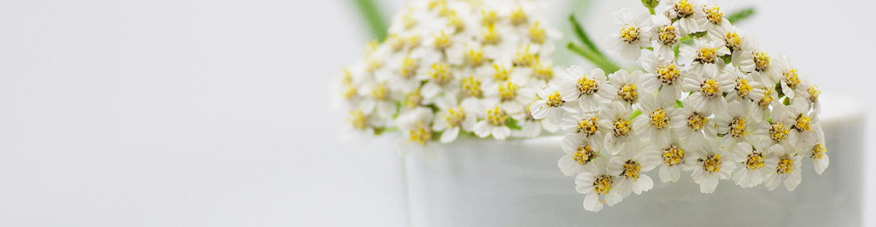 Wegbeschreibung Naturheilpraxis Best-Vomberg